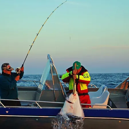 Holiday park Brygge Saltstraumen