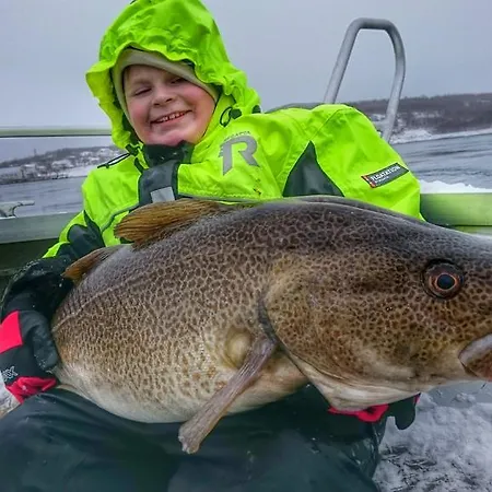 ホリデーパーク Brygge Saltstraumen